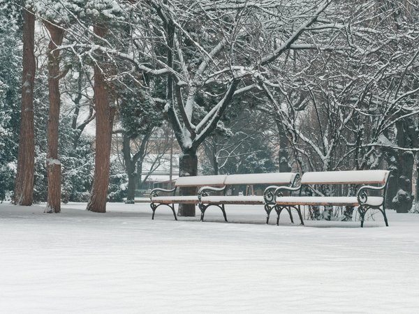 Comment choisir un coussin d'allaitement adapté à vos besoins pendant la grossesse ?
